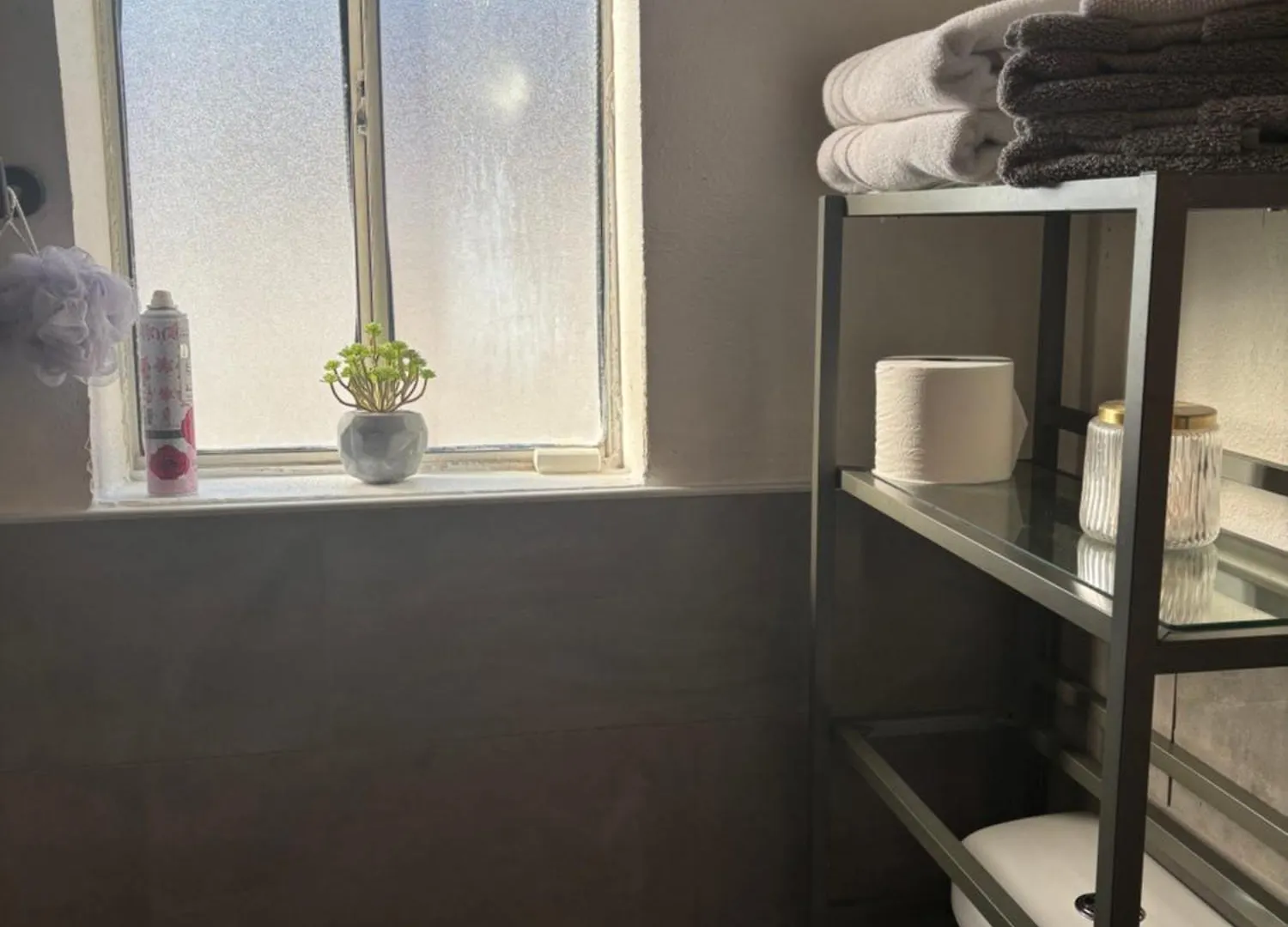Homestay Ultra Cozy Casita By Dtwn Phx Apartment Phoenix