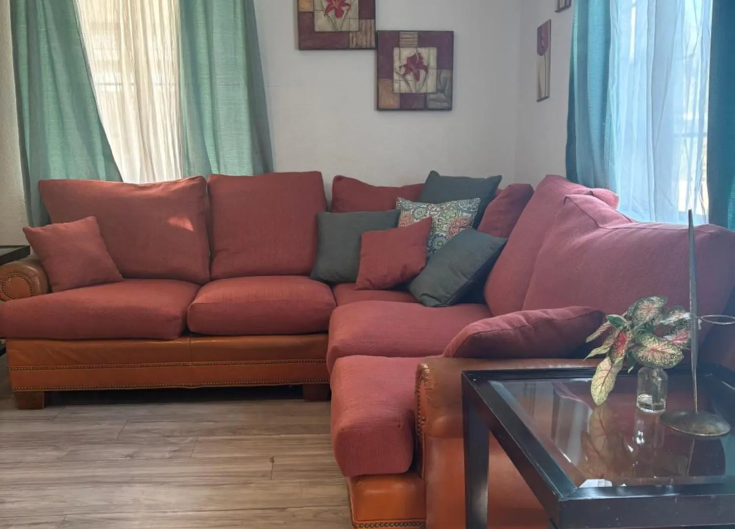 Ultra Cozy Casita By Dtwn Phx Apartment Phoenix Homestay